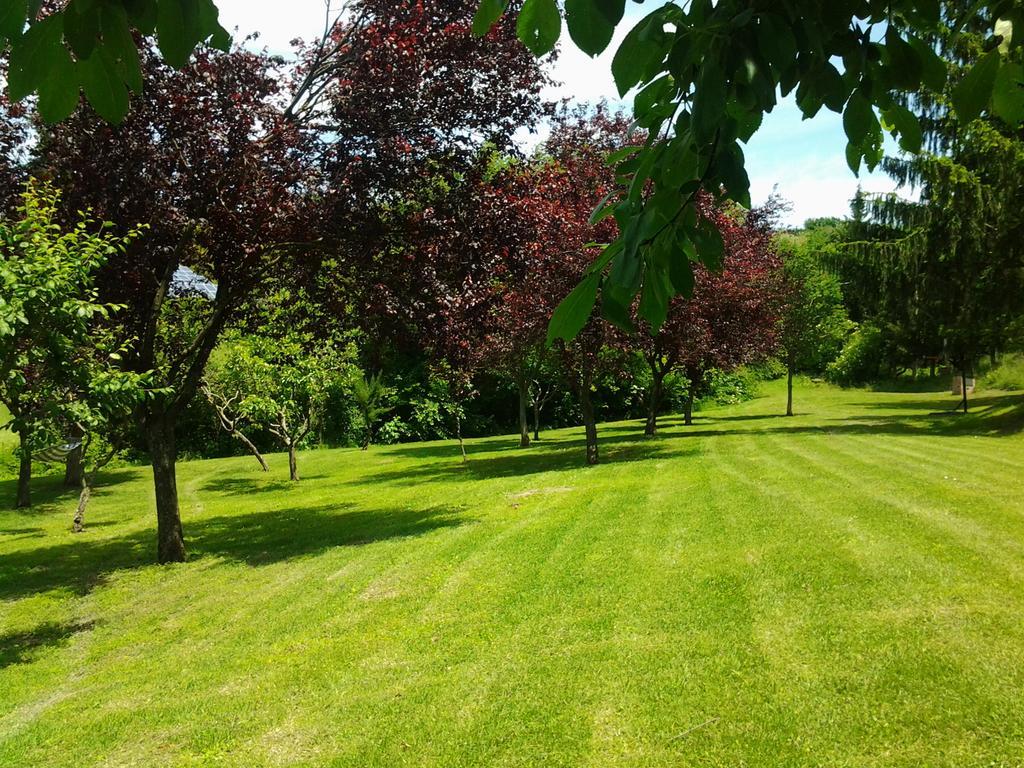 Agriturismo Gioie Di Campagna 파브리아노 외부 사진