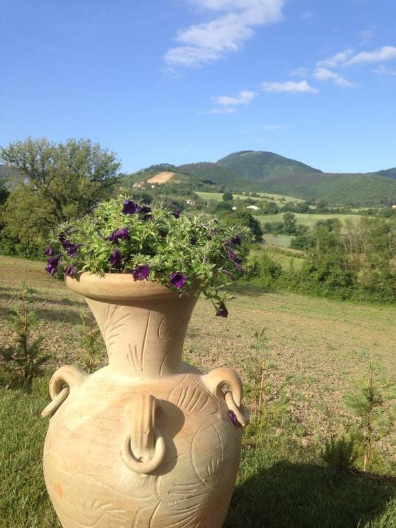 Agriturismo Gioie Di Campagna 파브리아노 외부 사진