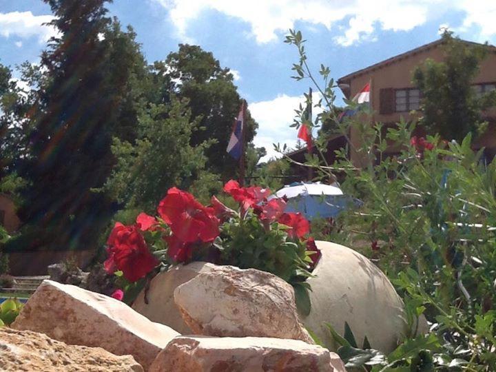 Agriturismo Gioie Di Campagna 파브리아노 외부 사진