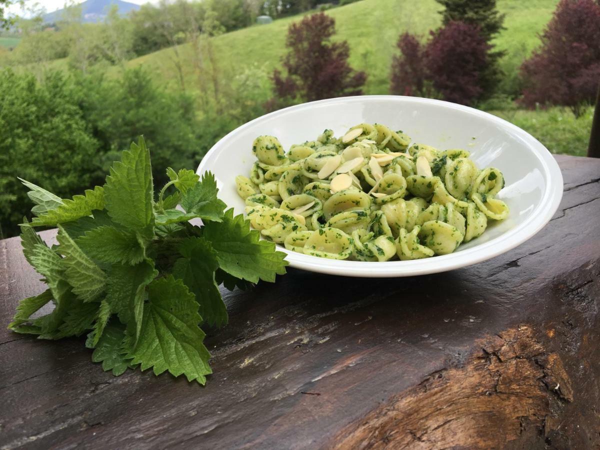 Agriturismo Gioie Di Campagna 파브리아노 외부 사진