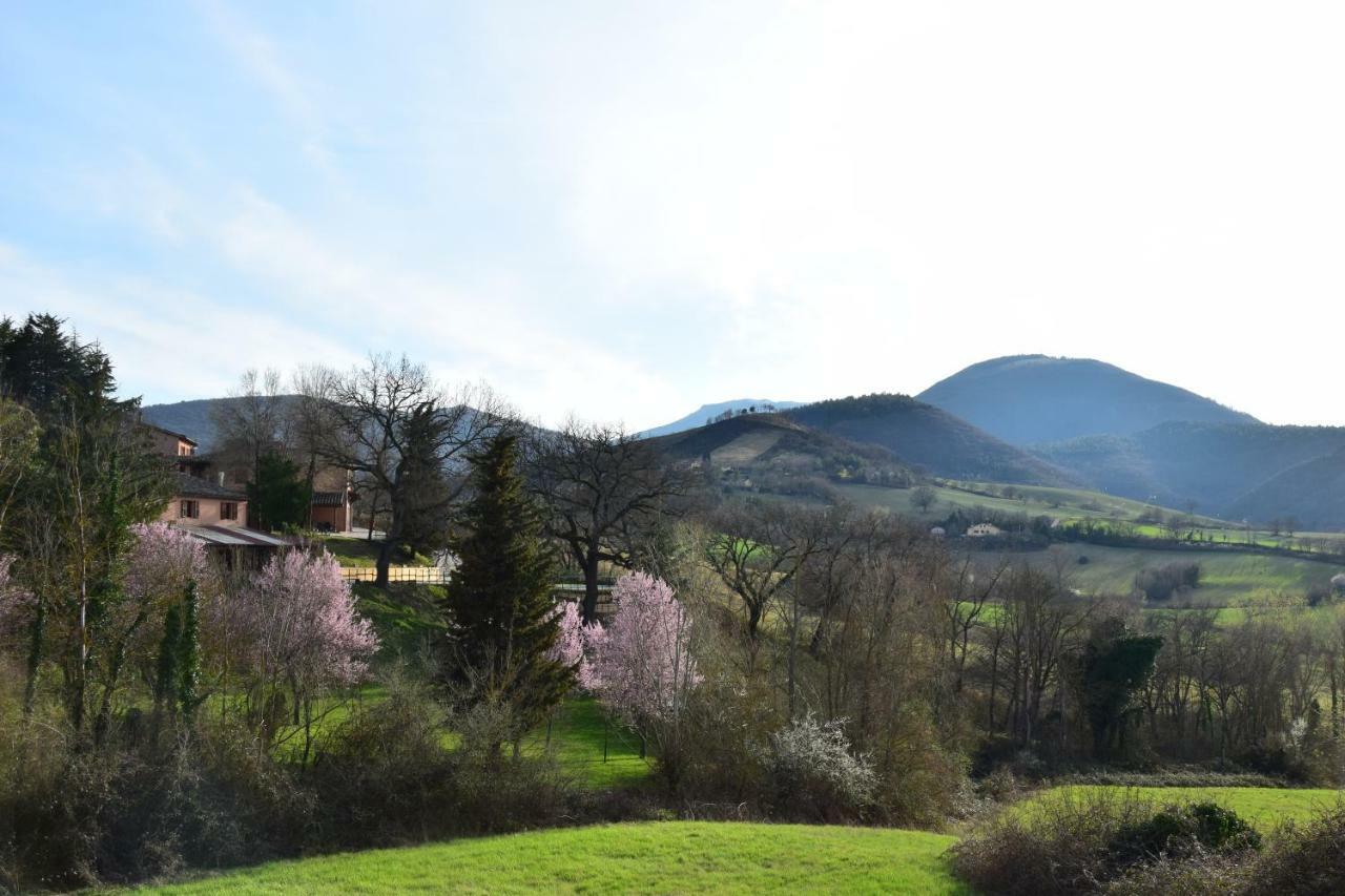 Agriturismo Gioie Di Campagna 파브리아노 외부 사진